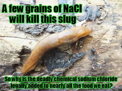 a-few-grains-of-nacl-will-kill-this-slug