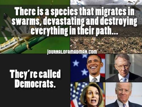 there-is-a-species-that-migrates-in-swarms-devastating-and-destroying-everything-in-their-path