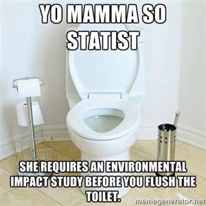 yo-mamma-so-statist-she-requires-an-environmental-impact-study-before-you-flush-the-toilet