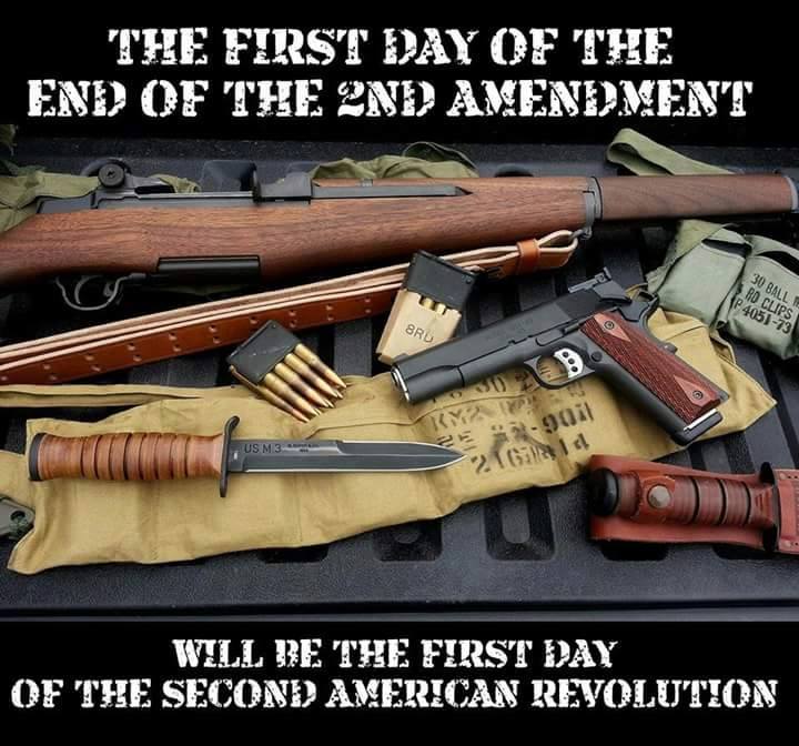 the-first-day-of-the-end-of-the-2nd-amendment-will-be-the-first-day-of-the-second-american-revolution