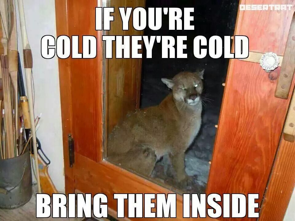 if-youre-cold-theyre-cold-bring-them-inside