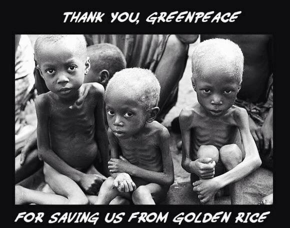 thank-you-greenpeace-for-saving-us-from-golden-rice