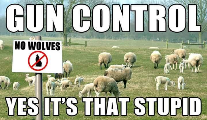gun-control-yes-its-that-stupid