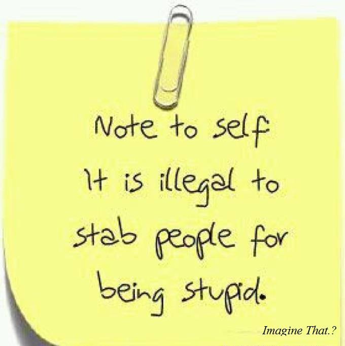 note-to-self-it-is-illegal-to-stab-people-for-being-stupid