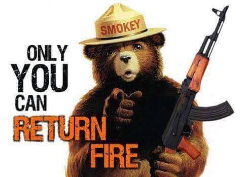 only-you-can-return-fire