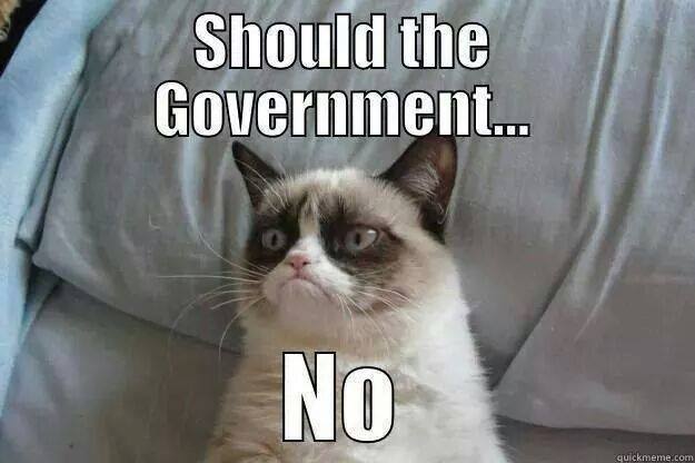 should-the-government
