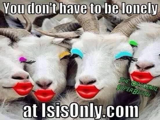 you-dont-have-to-be-lonely-at-isis-only